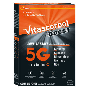 Vitascorbol Boost 5G 20...