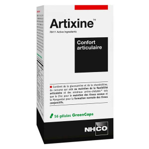 NHCO Artixine 168 gélules
