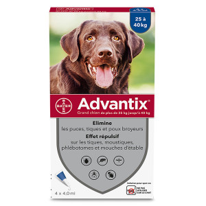 Advantix Chien Solution...