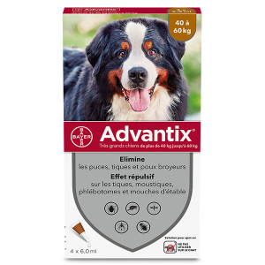 Advantix Chien Solution...